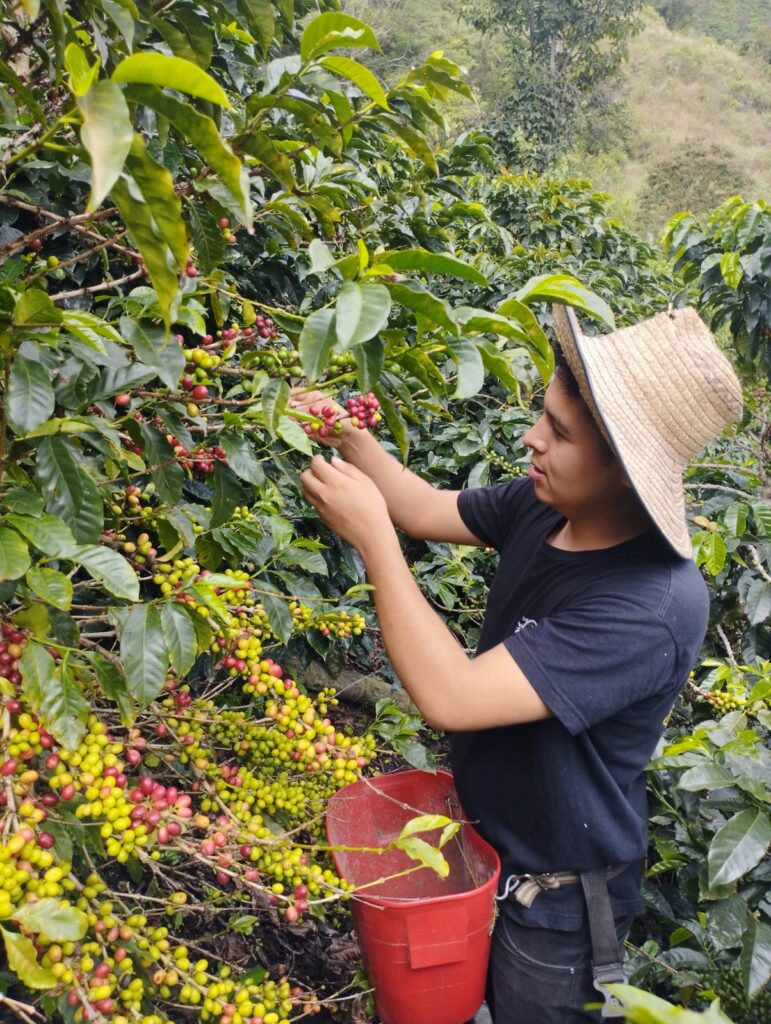 campesino