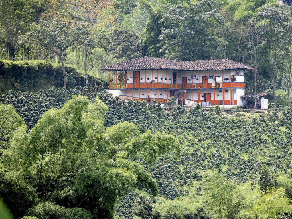 finca